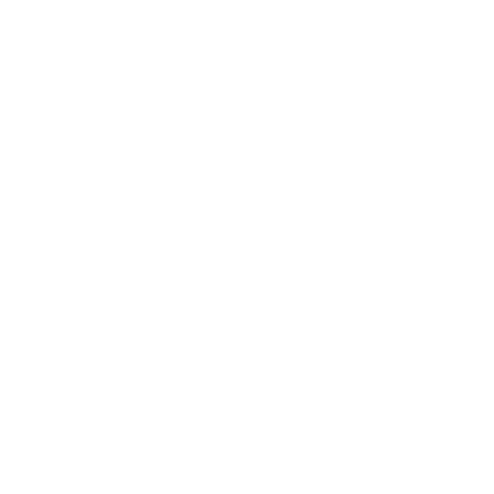 Dayana Romero Consulting