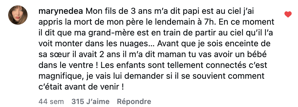 Capture commentaire @marynedea - 315 likes