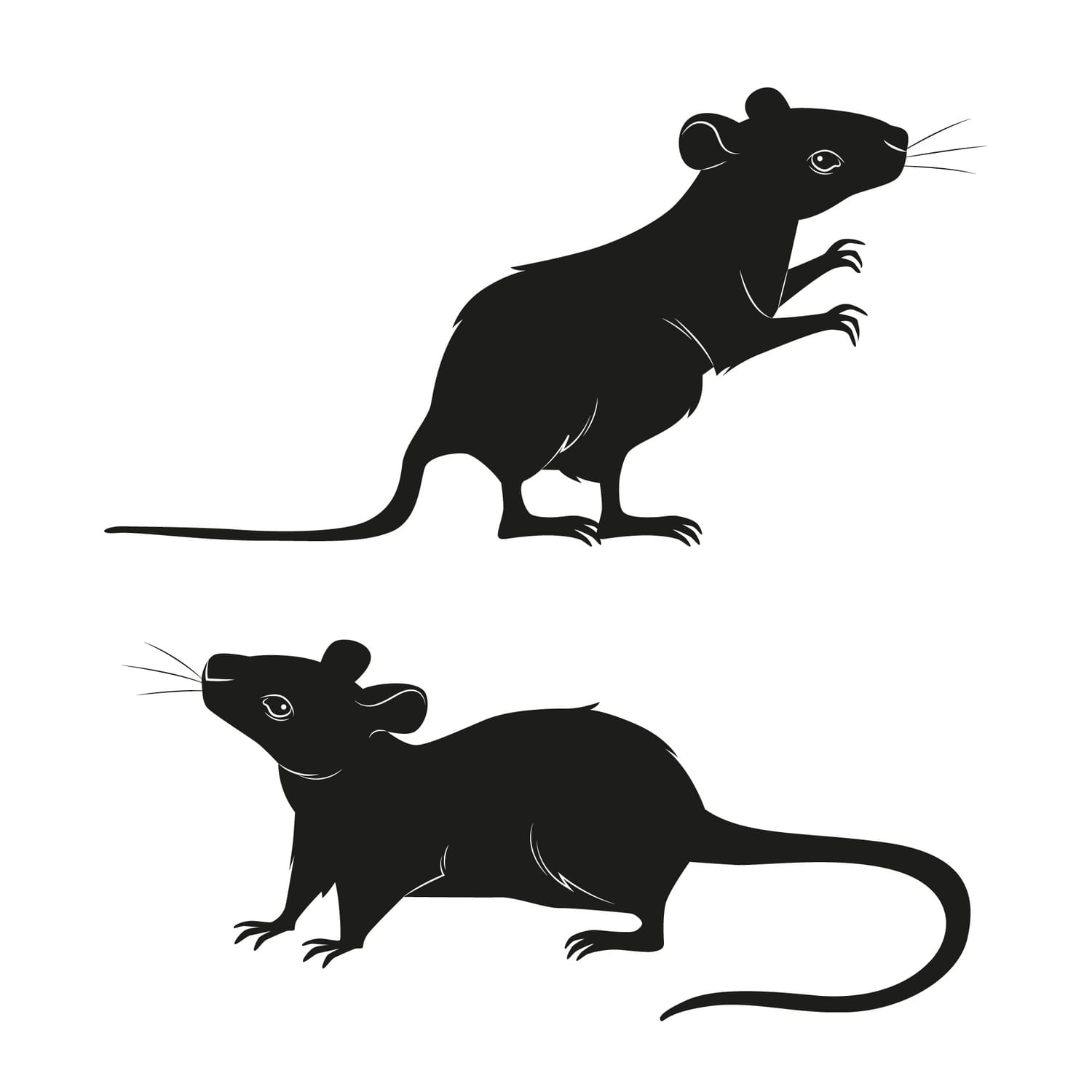 Pictogram of Rats - Your Grill Guy Cleans up after Rodent and Pest nesting