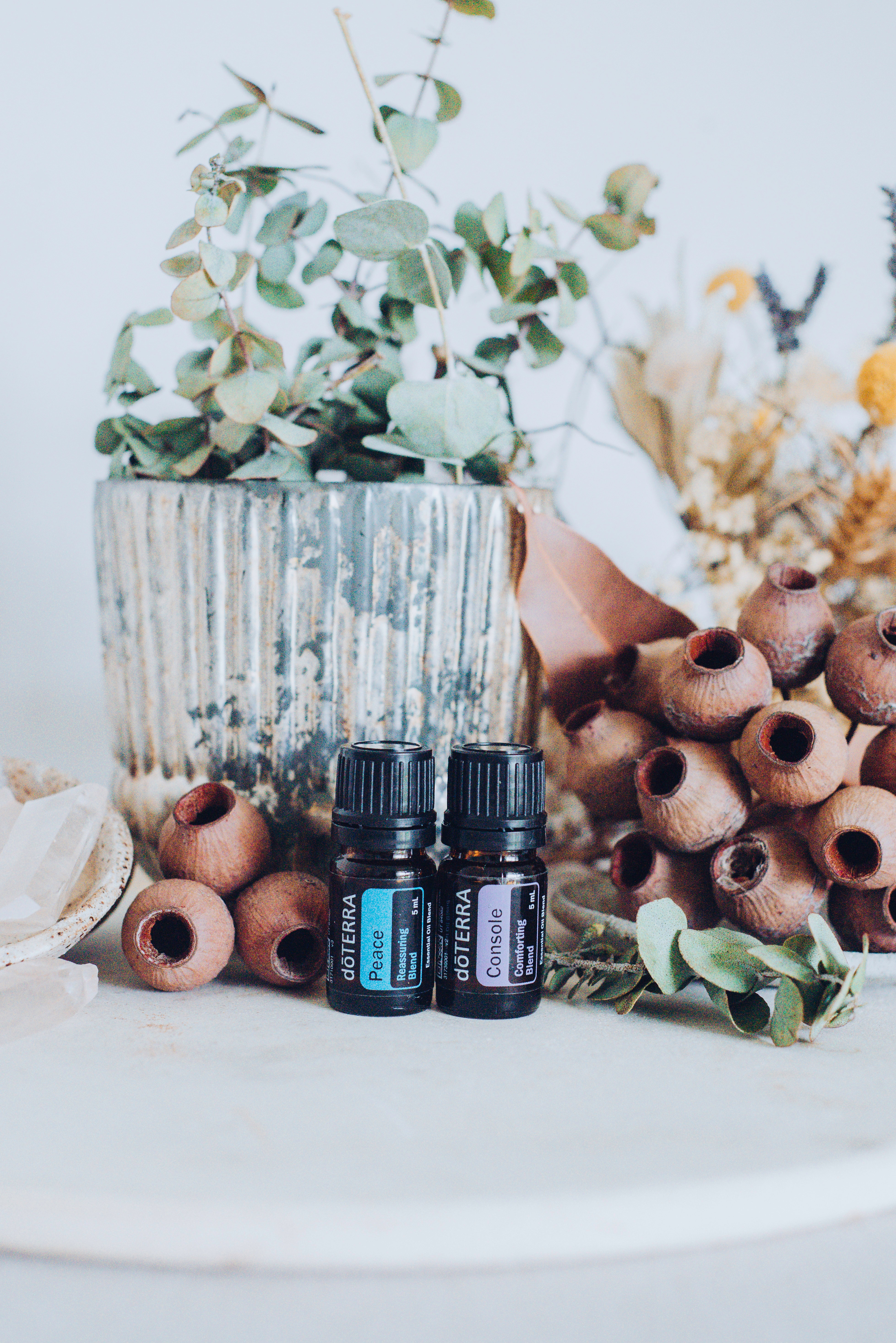 Óleos Essenciais DoTerra - Newsletter 