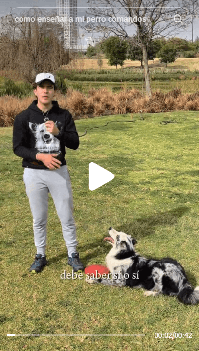 Vista previa de Reel de entrenamiento de perros