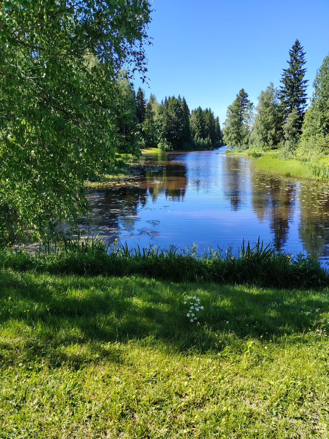 Kurssilainen