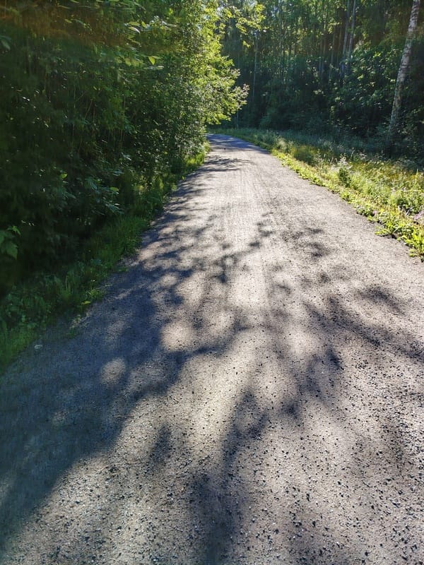 Kurssilainen