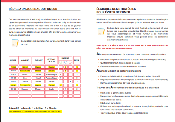 Aperçu du journal du fumeur