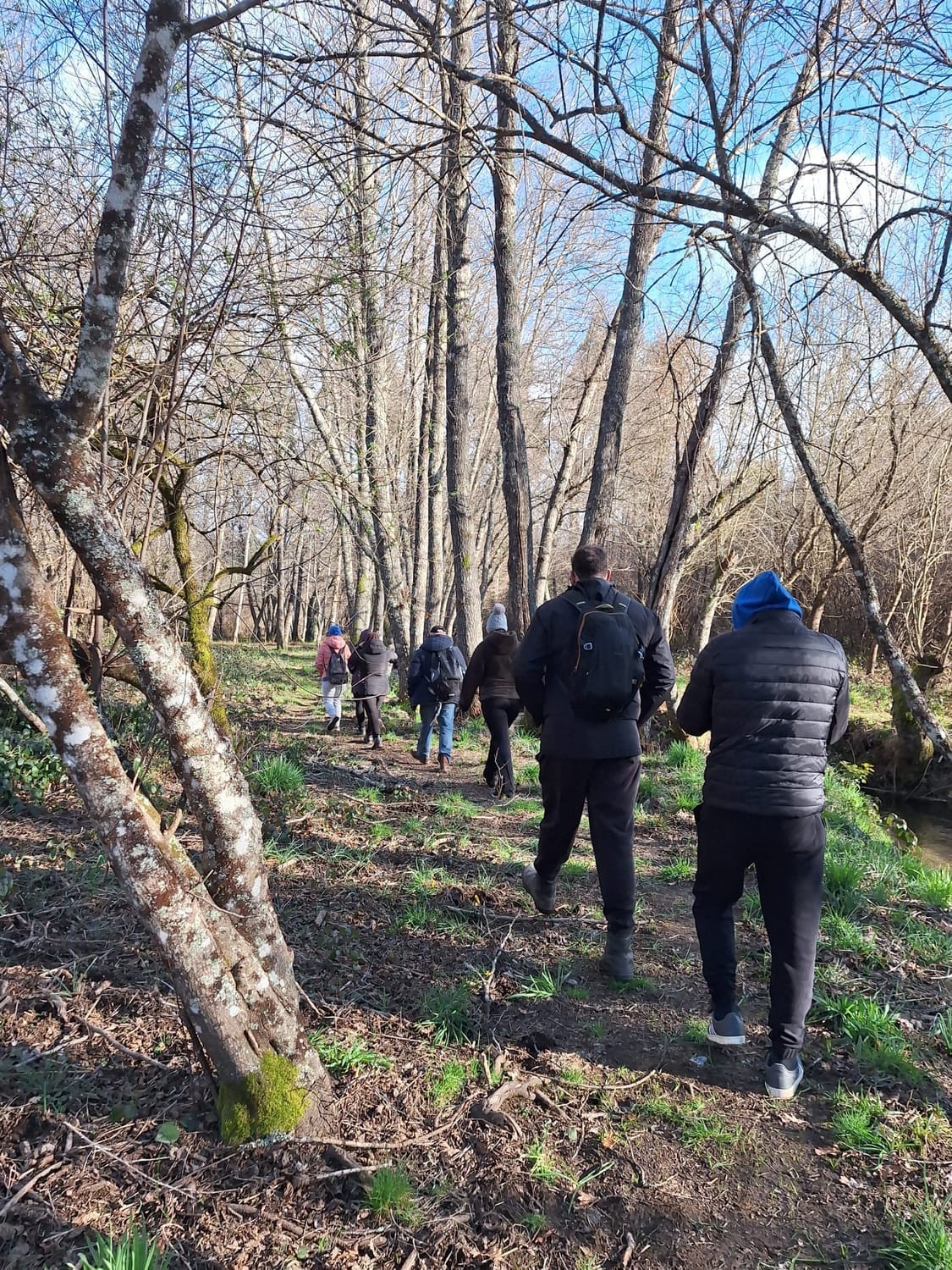 Caminhada na natureza para reduzir o stress