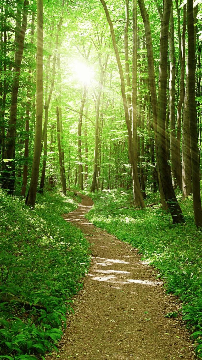 coach nutrition Courbevoie