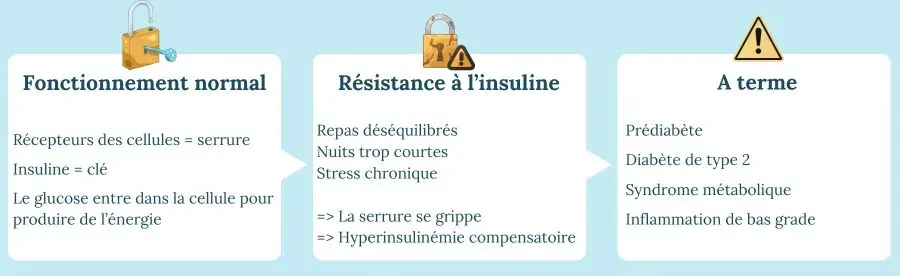 Mécanisme de la résistance à l'insuline : clé et serrure cellulaire