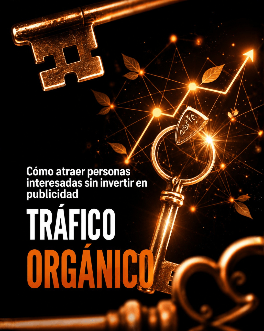 Tráfico orgánico: cómo atraer personas interesadas sin invertir en publicidad