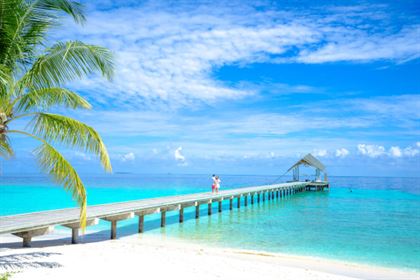 Photo by Asad Photo Maldives from Pexels