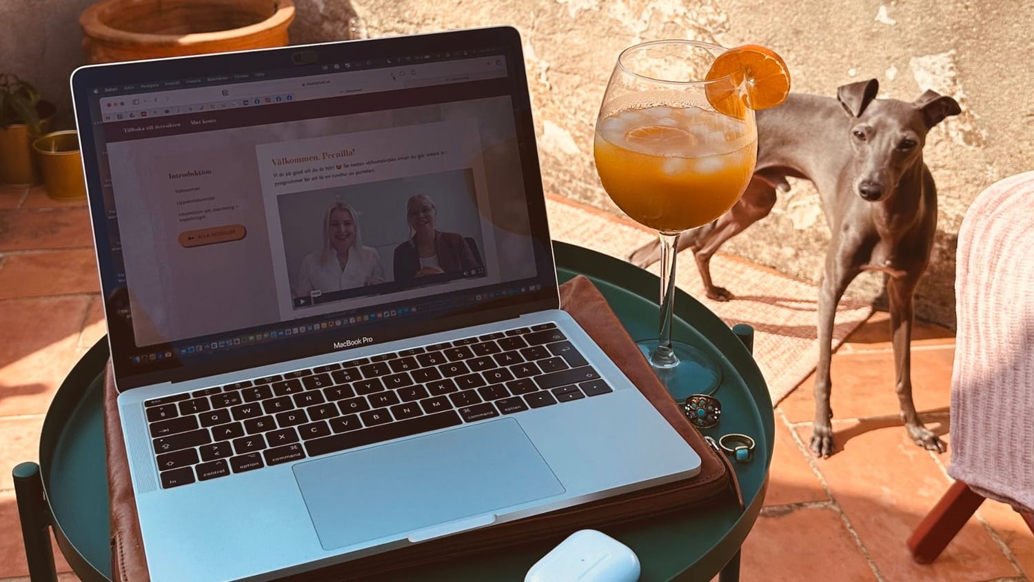 An Italian Greyhound named Sid relaxing next to a laptop and coffee cup on a Florentine rooftop terrace, illustrating the flexible lifestyle of a midlife solo season.