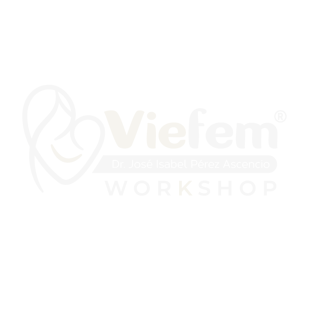 Viefem Workshop · Dr. José Isabel Pérez Ascencio