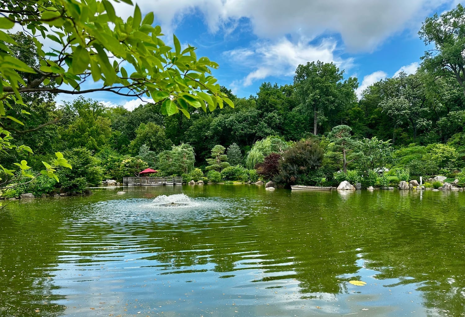 view of a lake with a fountain in the middle, surrounded by lush vegetation (Anderson Gardens)