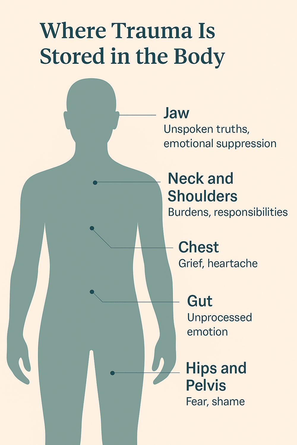 graphic showing trauma in jaw,nexk & shoulder, chest, gut,