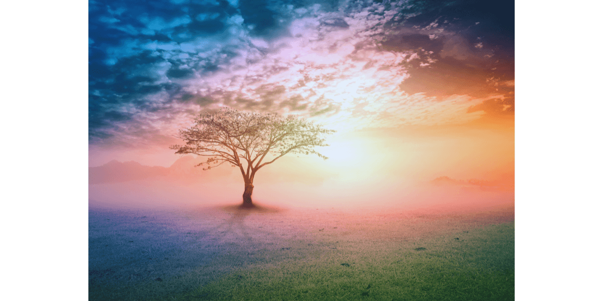 Why Boundaries Are Your Superpower in Recovering from Narcissistic Abuse - A view from the window of an aircraft looking over the wing to the sunrise