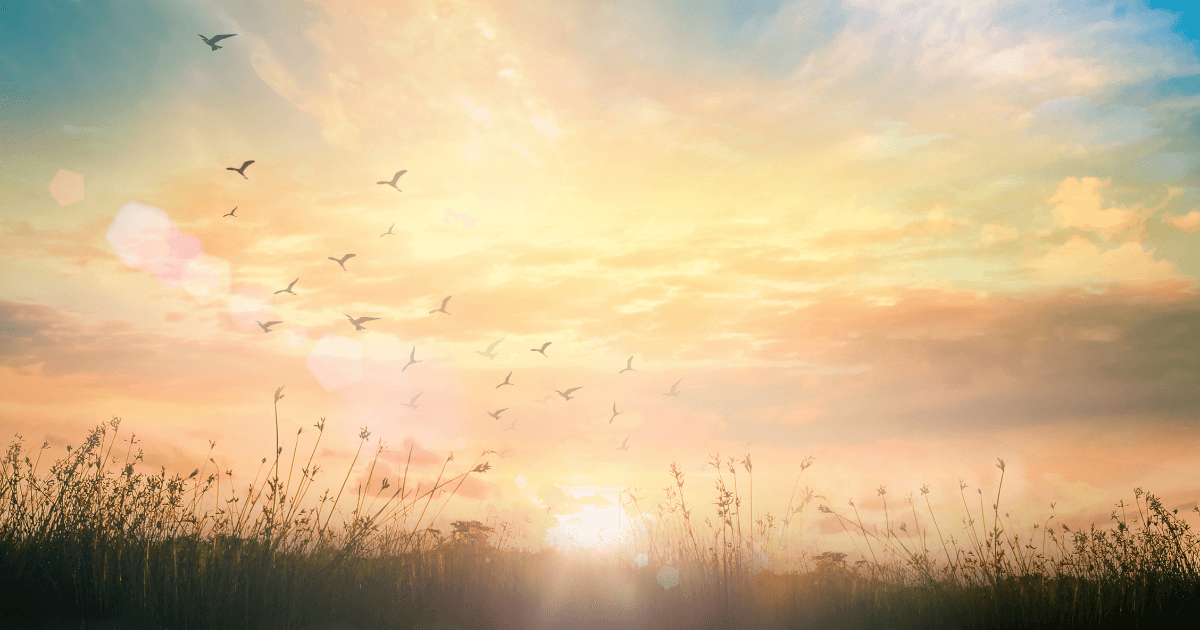 Why Boundaries Are Your Superpower in Recovering from Narcissistic Abuse - A view from the window of an aircraft looking over the wing to the sunrise