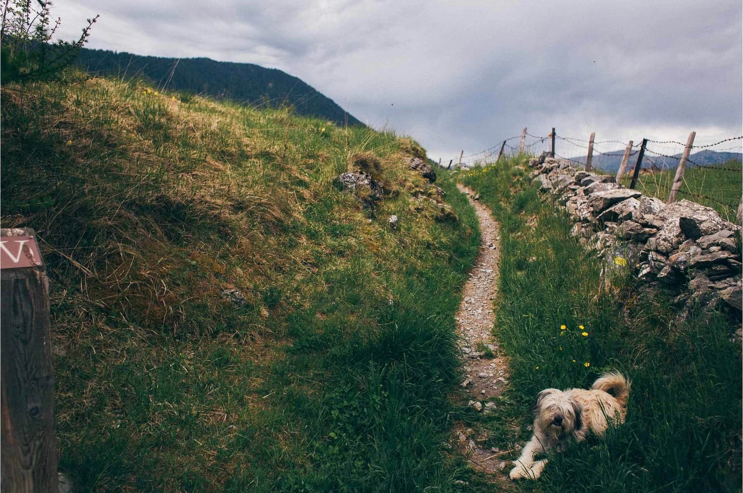 photographe réfléchissant à sa signature visuelle en montagne