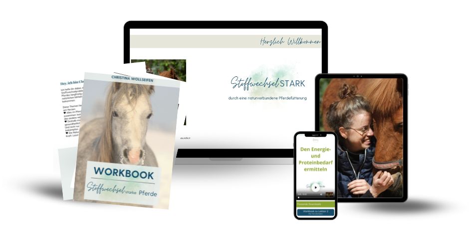 Produkt Mockup @Canva