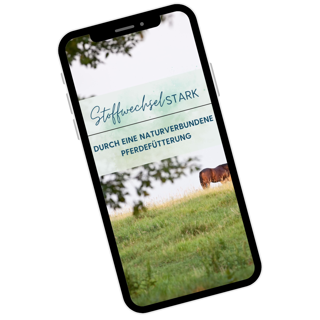 Mockup-Mobiltelefon