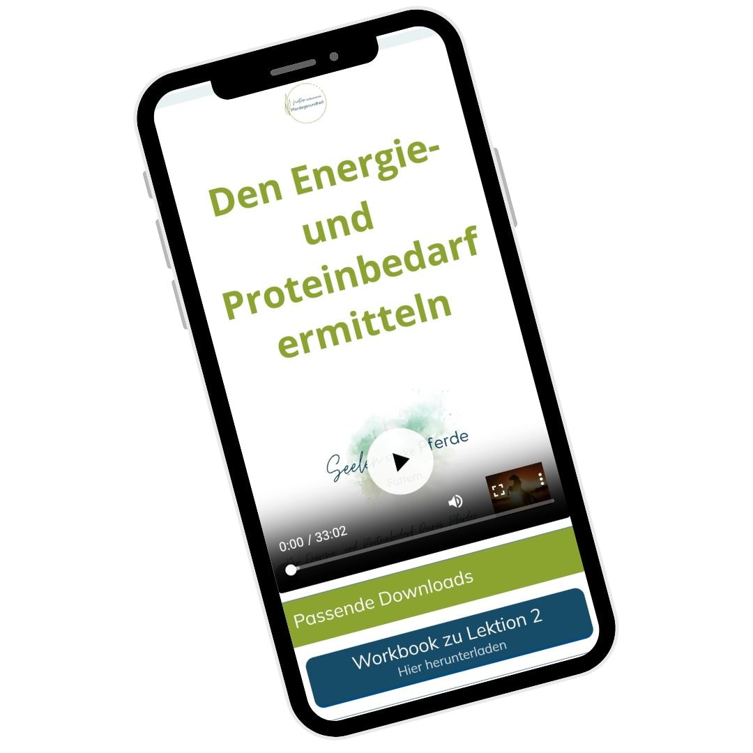 Mockup-Bild
