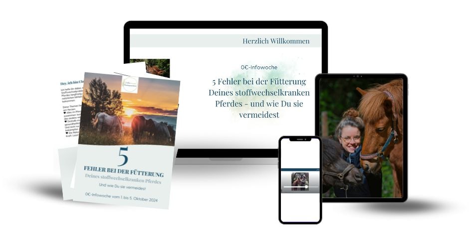 Produkt Mockup @Canva