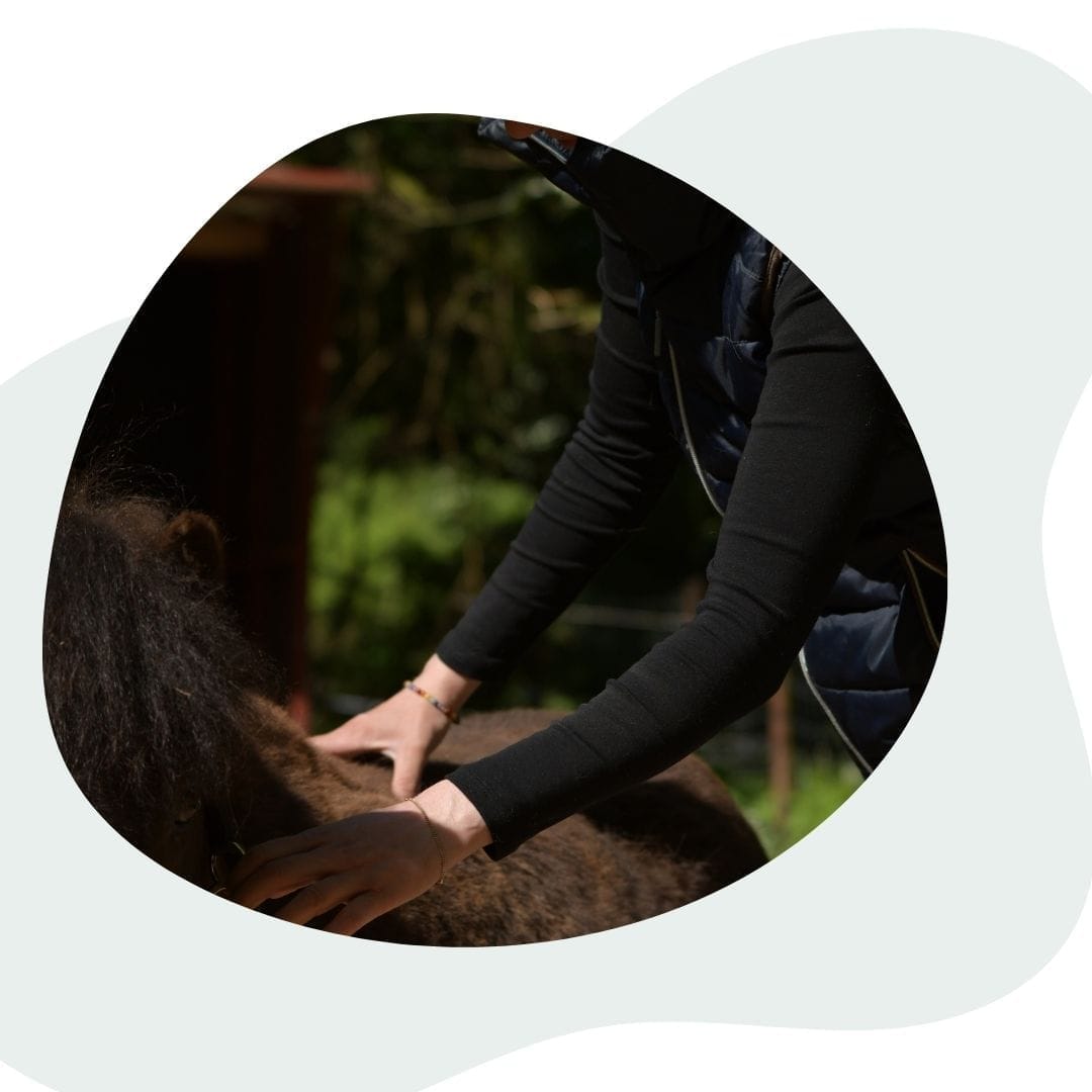 Produkt Mockup @Canva