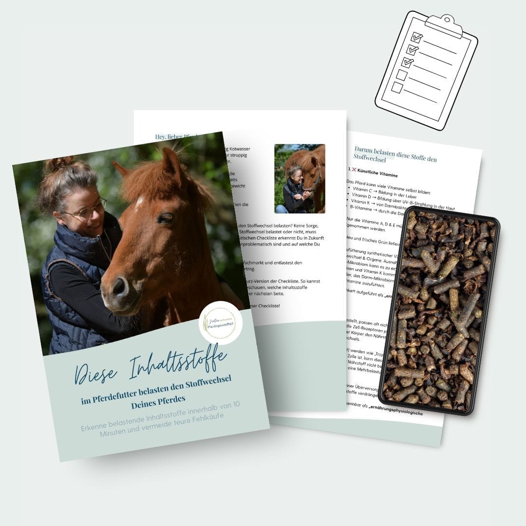 Produkt Mockup @Canva