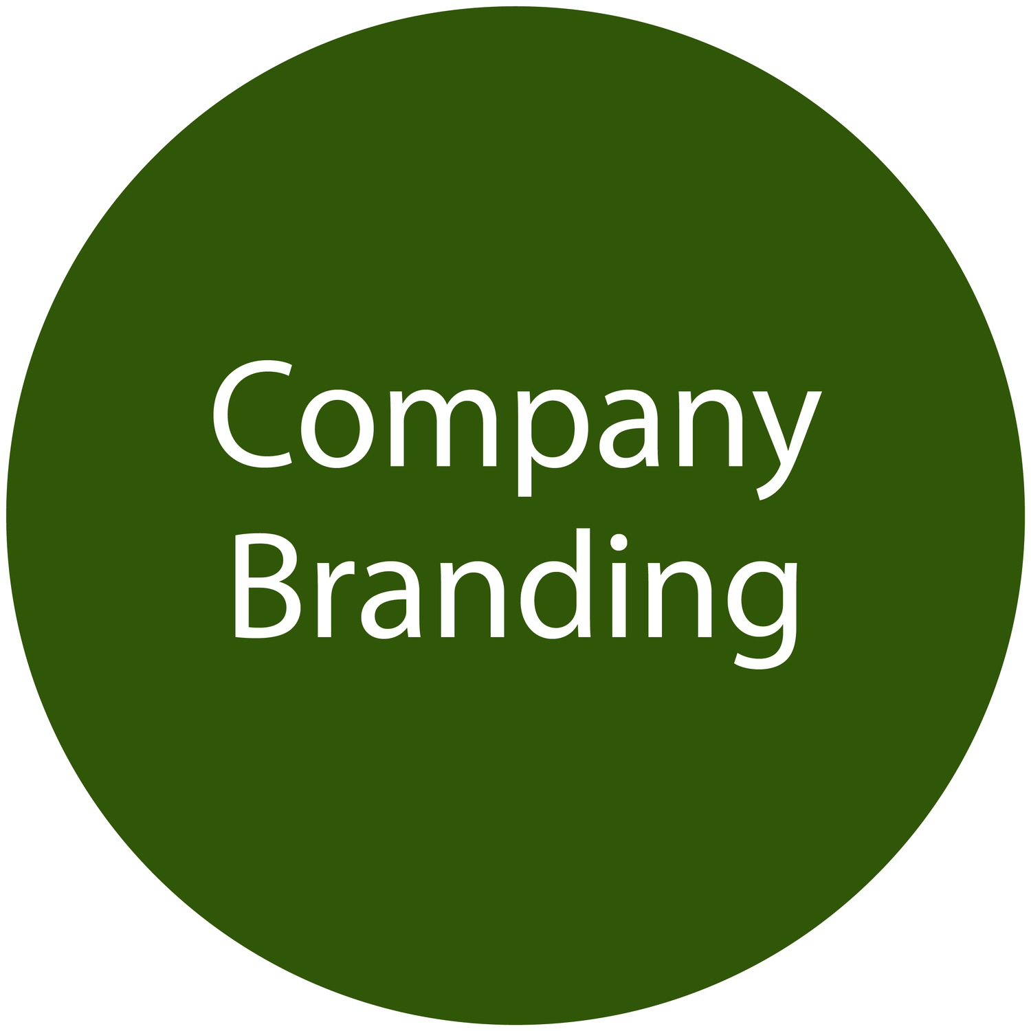 Whole Body Intelligent Company Branding