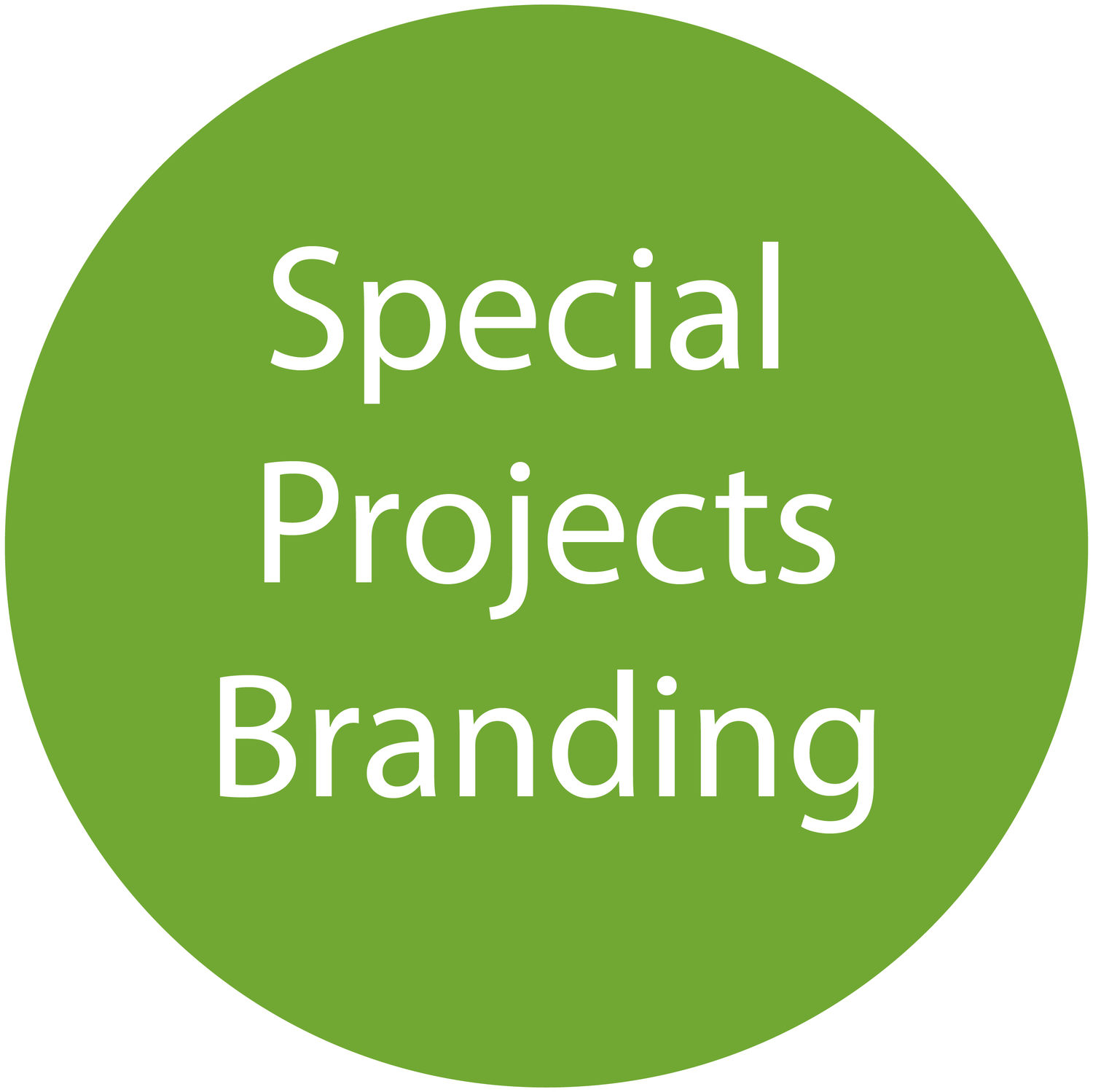 Whole Body Intelligent Company Branding