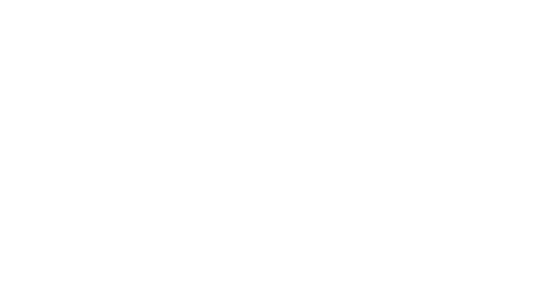 Welcome to the ALICE Institute