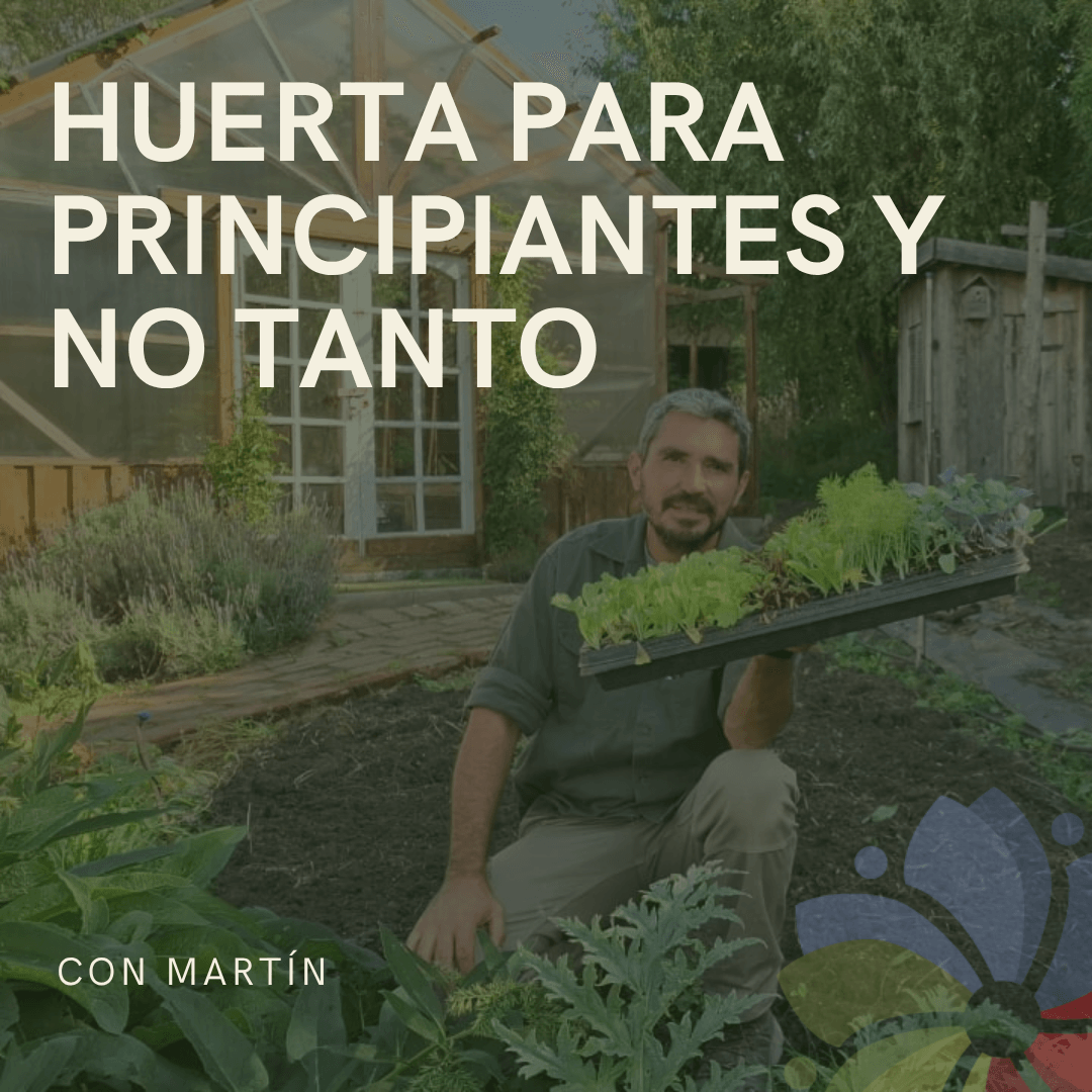 Portada de Huerta para principiantes y no tanto