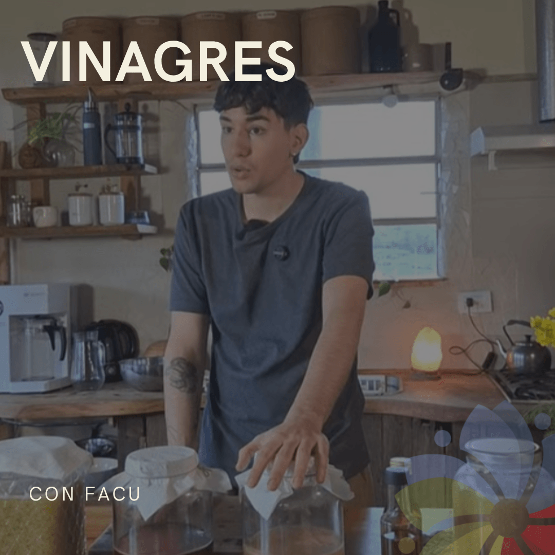 Portada del curso de vinagres
