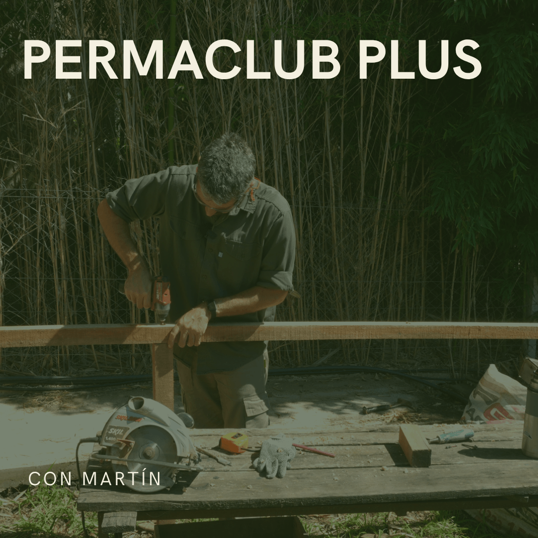 Portada de PermaClub PLUS