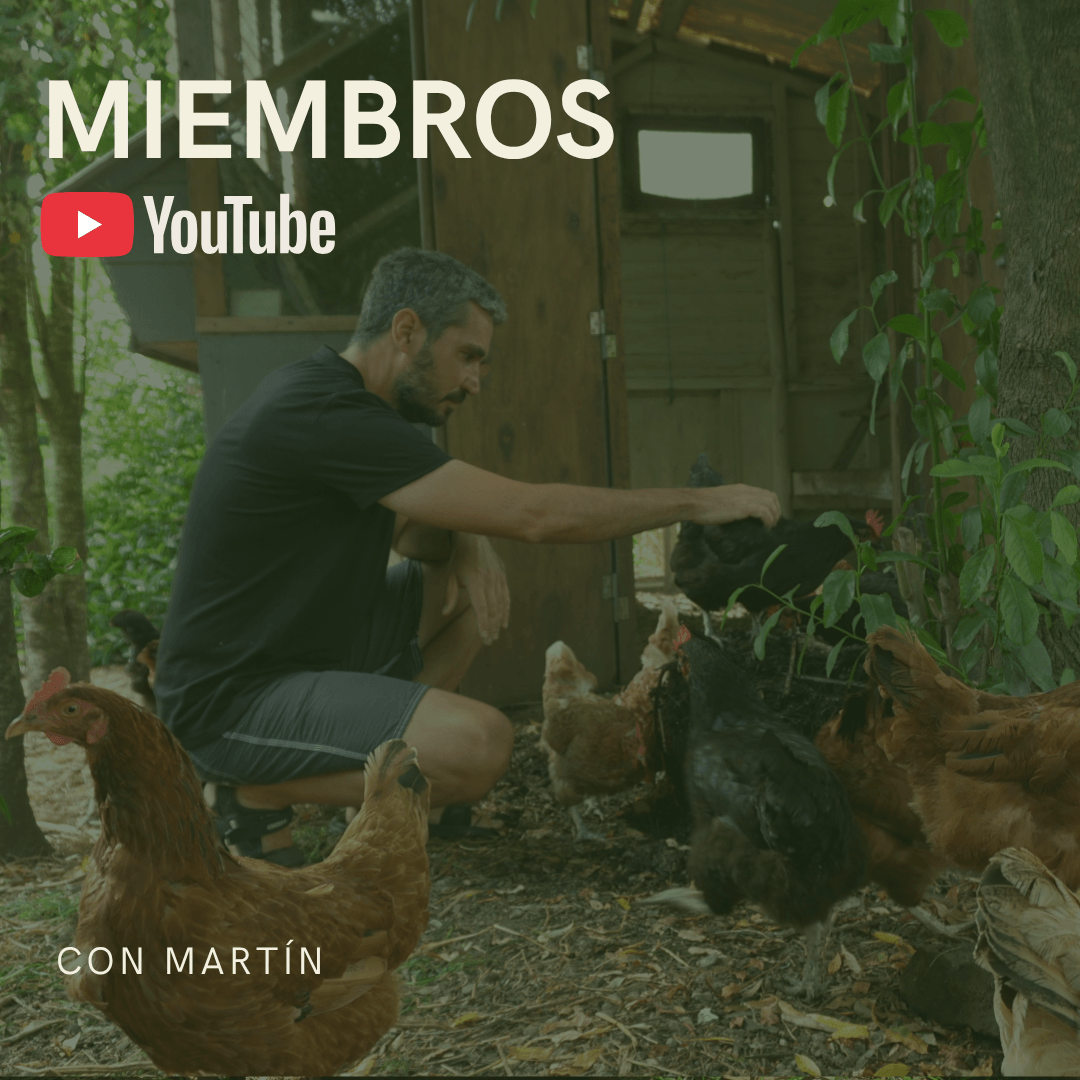 Portada de miembros del canal de YouTube de Permacultura Holística