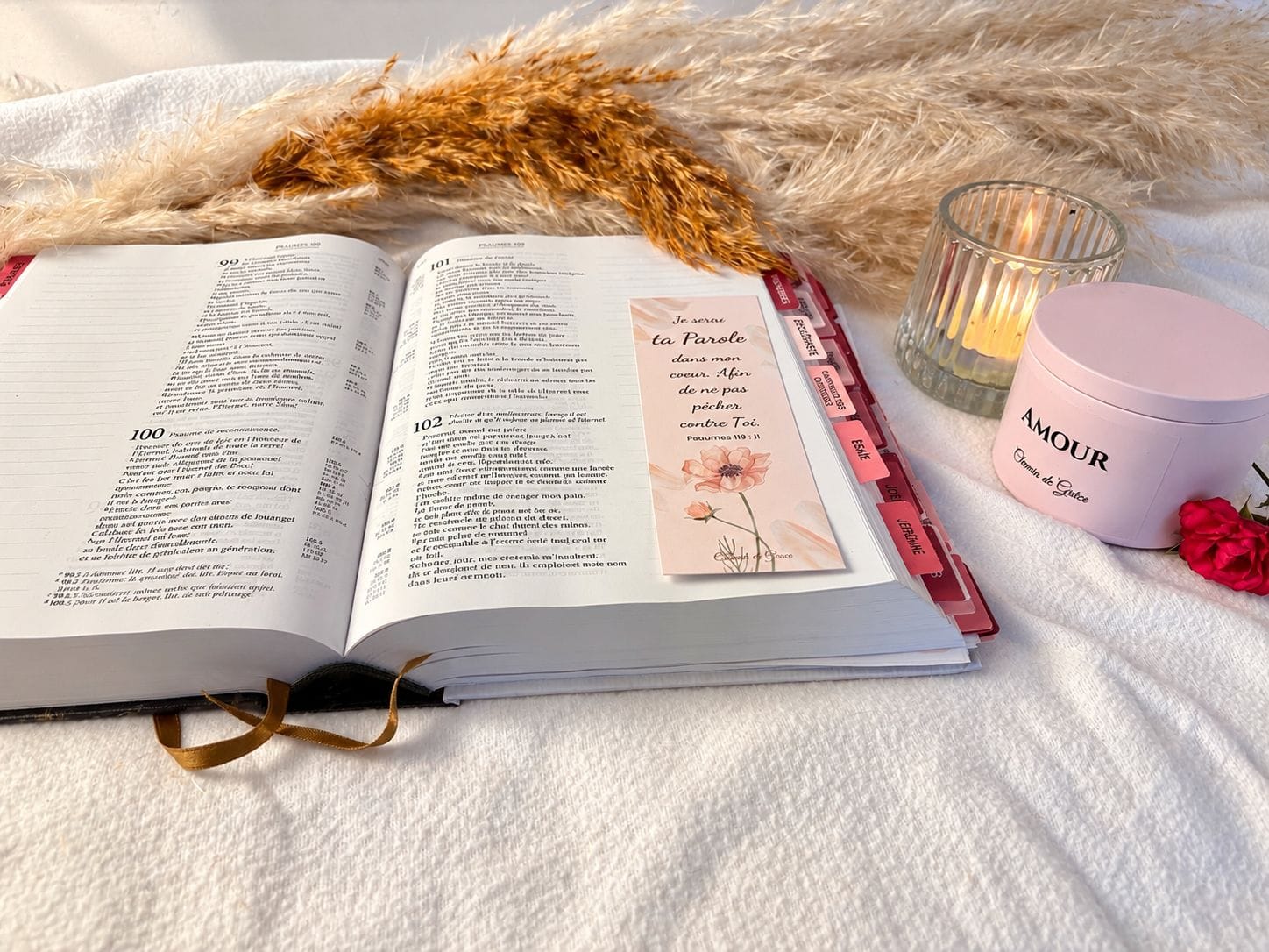 soft blush journal morning light