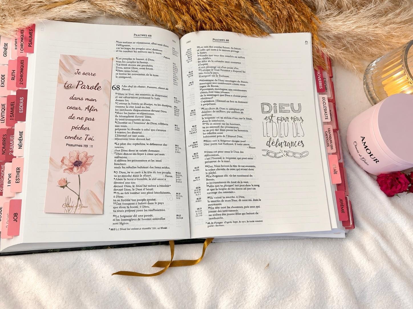 minimal blush notebook soft sunlight