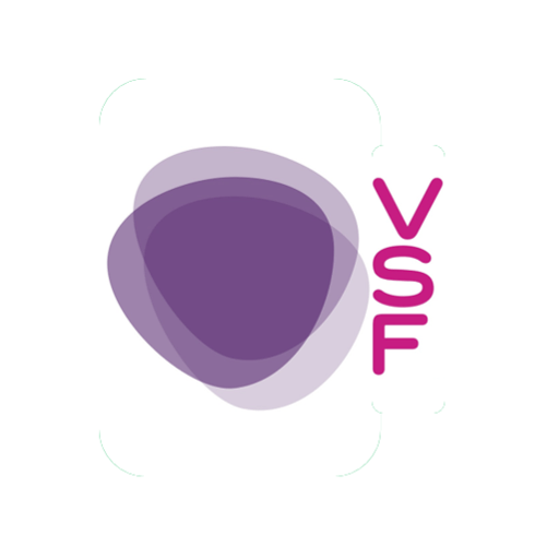 Virtual Software Factory