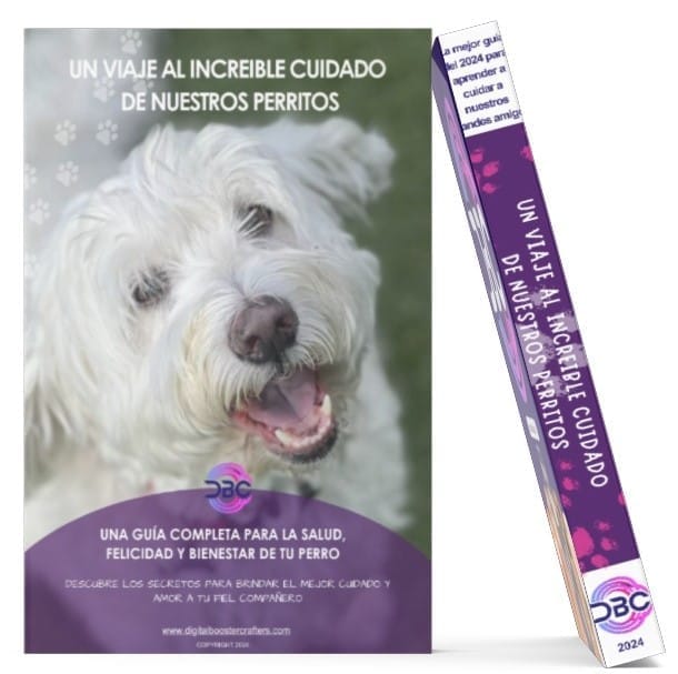 Un viaje al increible cuidado de nuestros perritos
