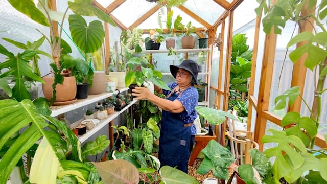 Woman in greenhouse with plants finds satisfaction