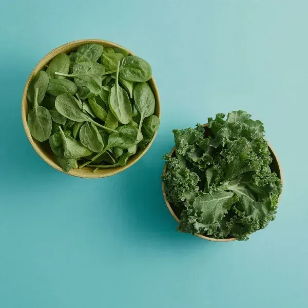 Bowl of fresh leafy greens rich in fiber and folate