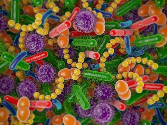 Clinically studied probiotic strains and uses