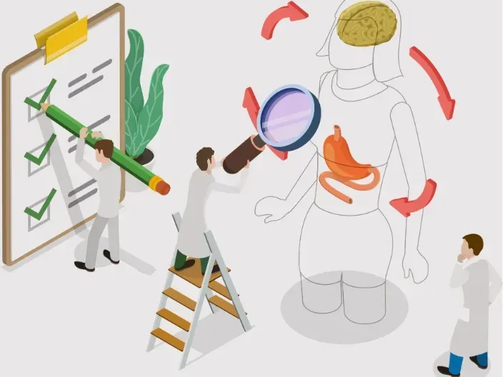 how gut health affects metabolism, hormones, and weight loss