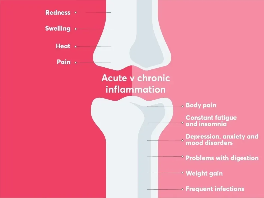 Diagram comparing acute and chronic inflammation in the human body