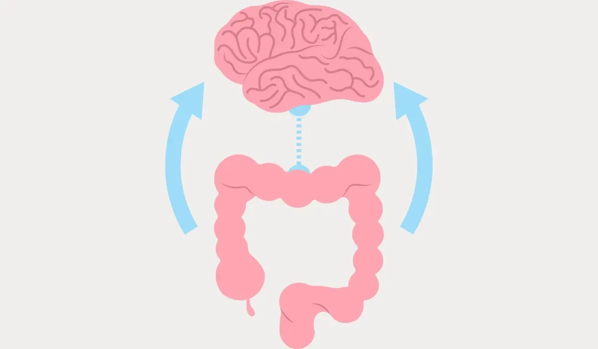 Diagram of the gut-brain axis