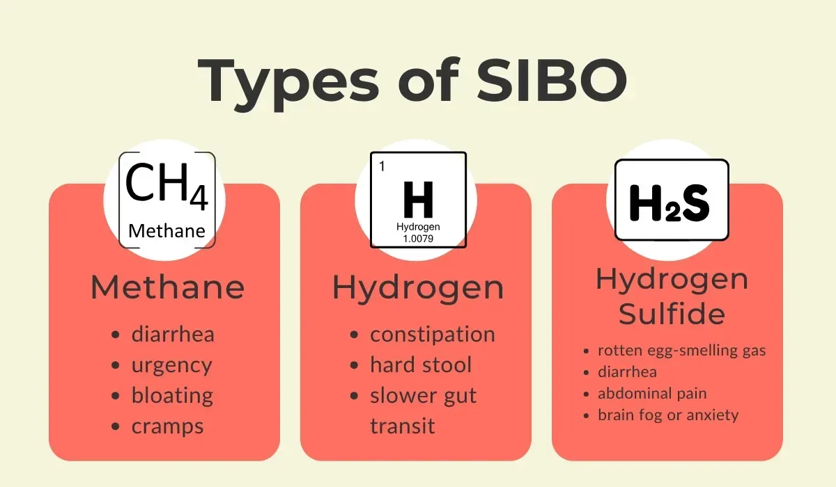 Comparison chart showing symptoms of hydrogen, methane, and hydrogen sulfide SIBO