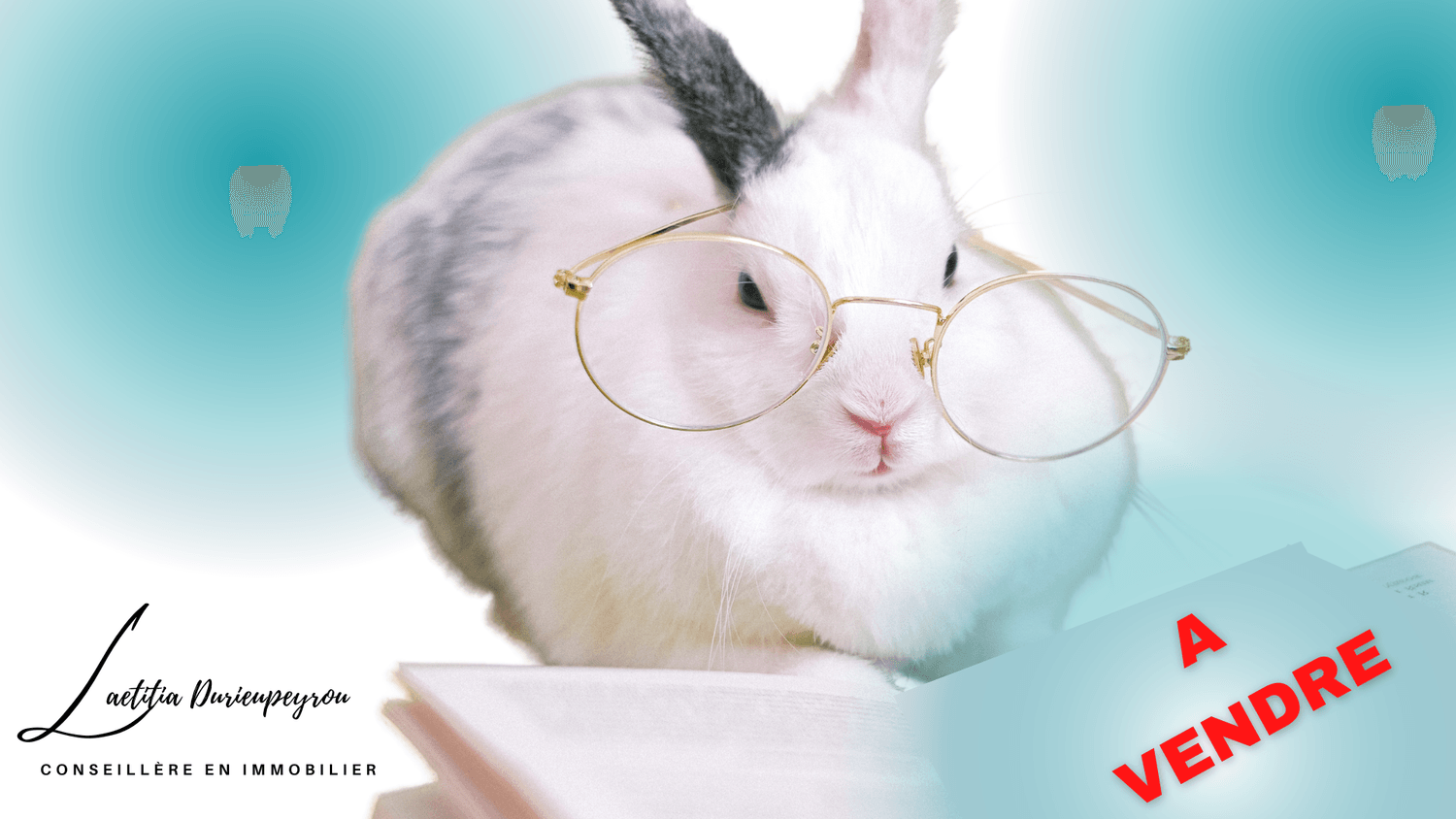 appartement et maison à vendre Varennes-Jarcy