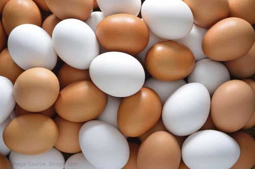 eggs increase stamina