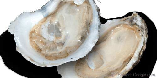 oysters boost desire