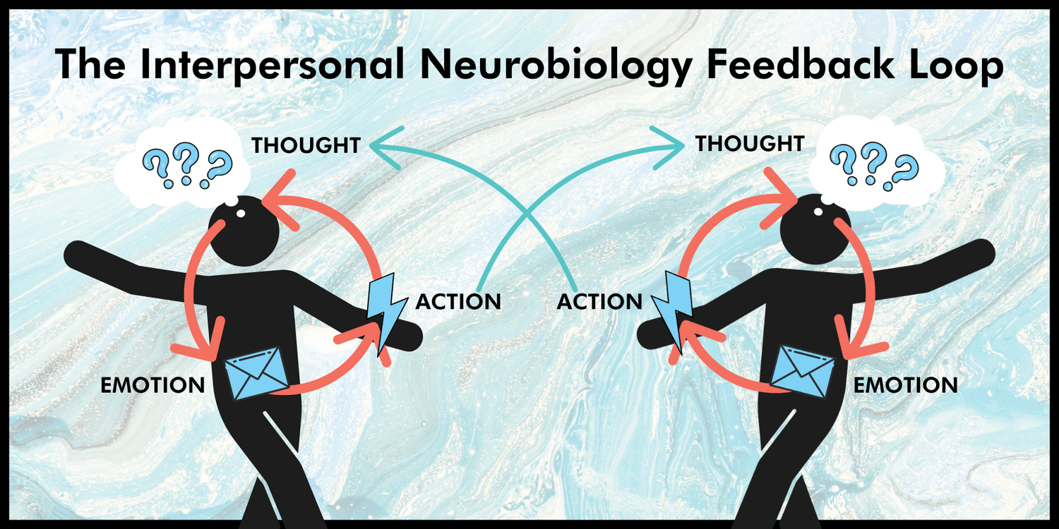 The Interpersonal Neurobiology Feedback Loop
