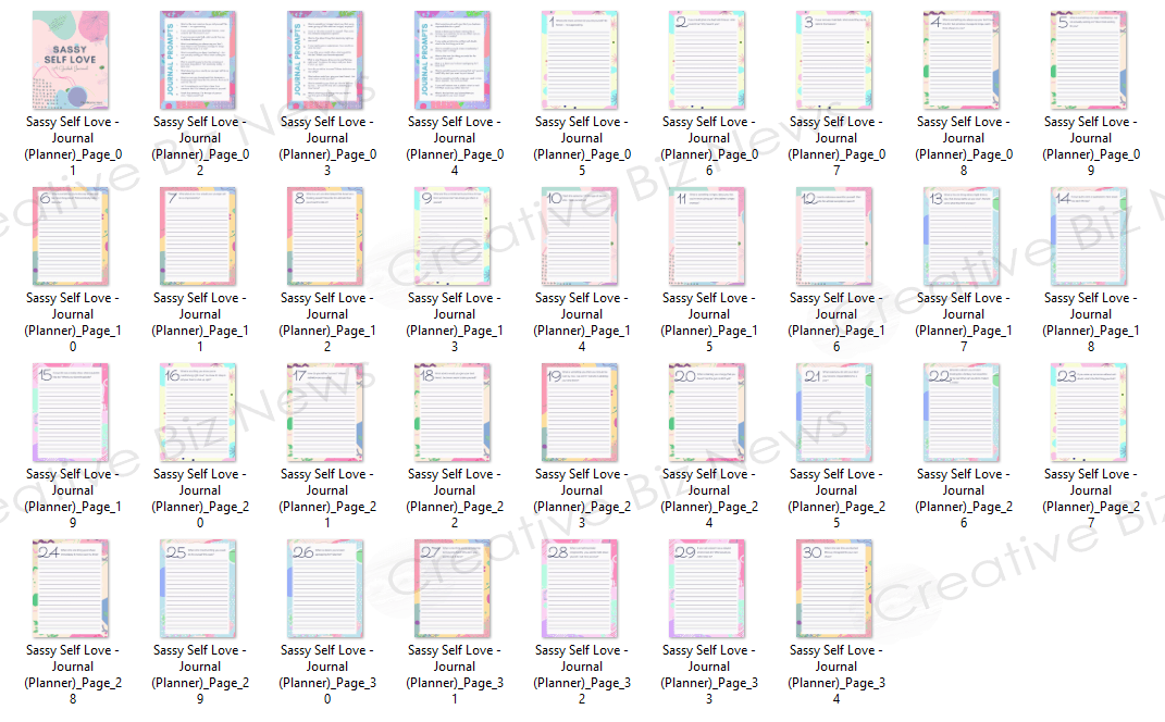 screenshot of journal pages