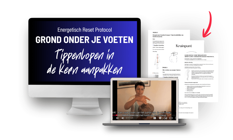 Alles wat je nodig hebt om een échte oplossing te bieden – in één klik